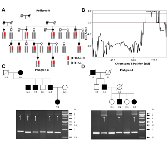 1531815965135283.jpg 未标题-2.jpg