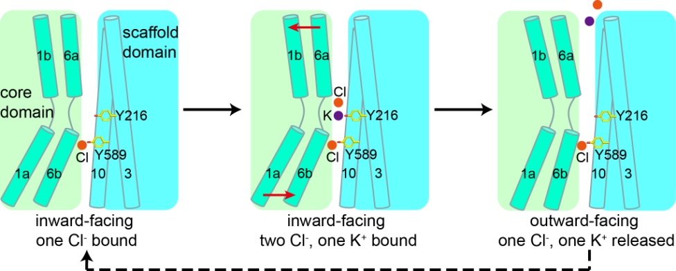 1574154304890112.jpg 4.jpg