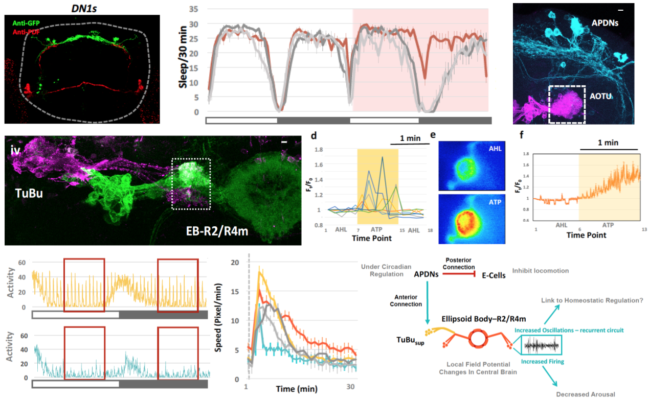 1538223776929013.png 2.png