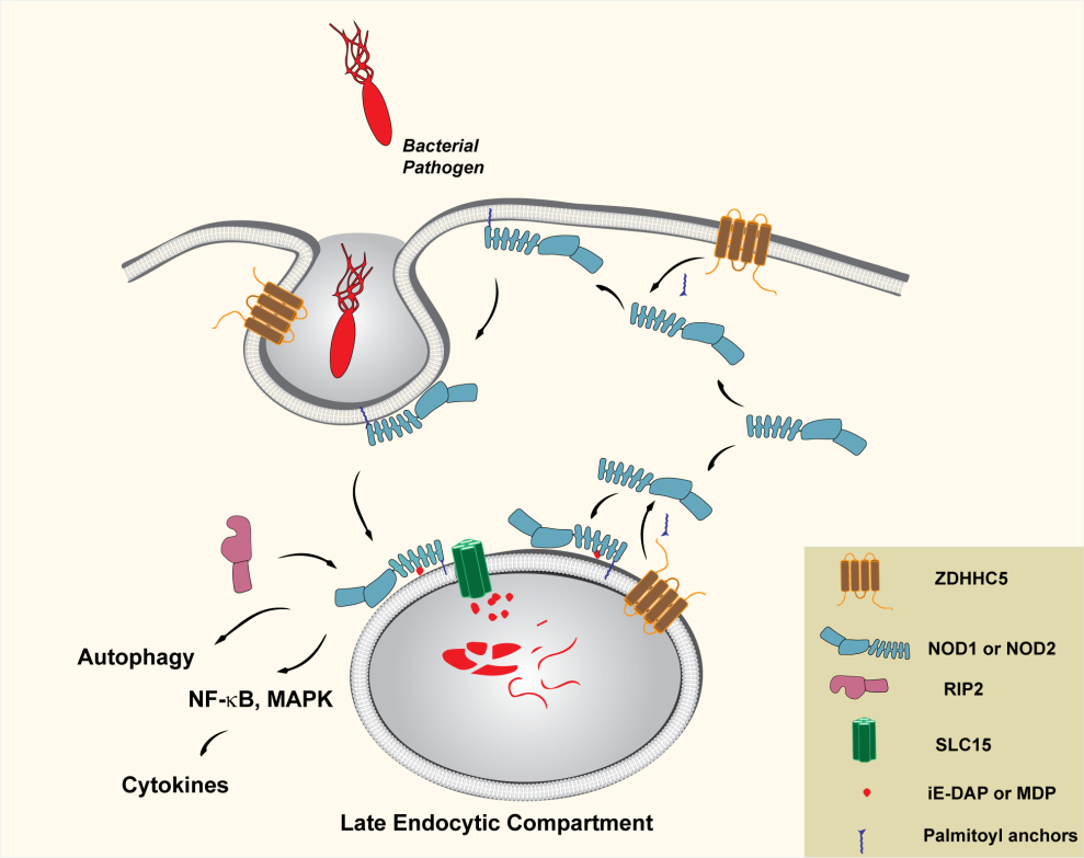 1574153570783135.png 1574153570783135.png