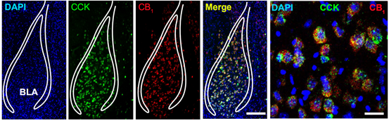 1547624333110664.png 1547624333110664.png